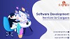 Software Development Services in Gurgaon
