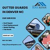 Find The Best Gutter Guards in Denver, NC
