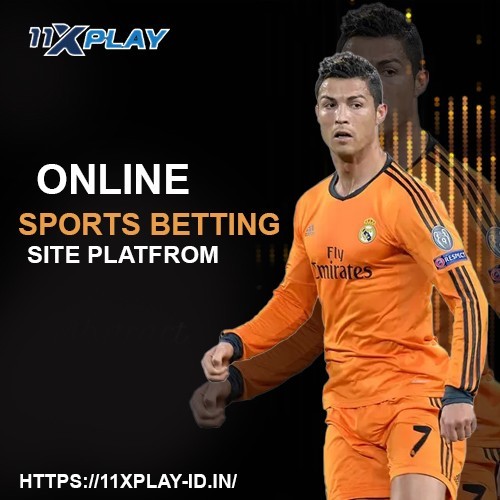 11xplay Online Bingo: Bingo Is Back in Style I used to think