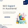 SEO specialists in Auckland | Local and Ecommerce SEO agency in New Zealand