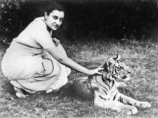 Environmental Program by Indira Gandhi