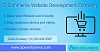 Best e-commerce website Development Company 