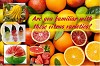 Citrus Fruits Varieties