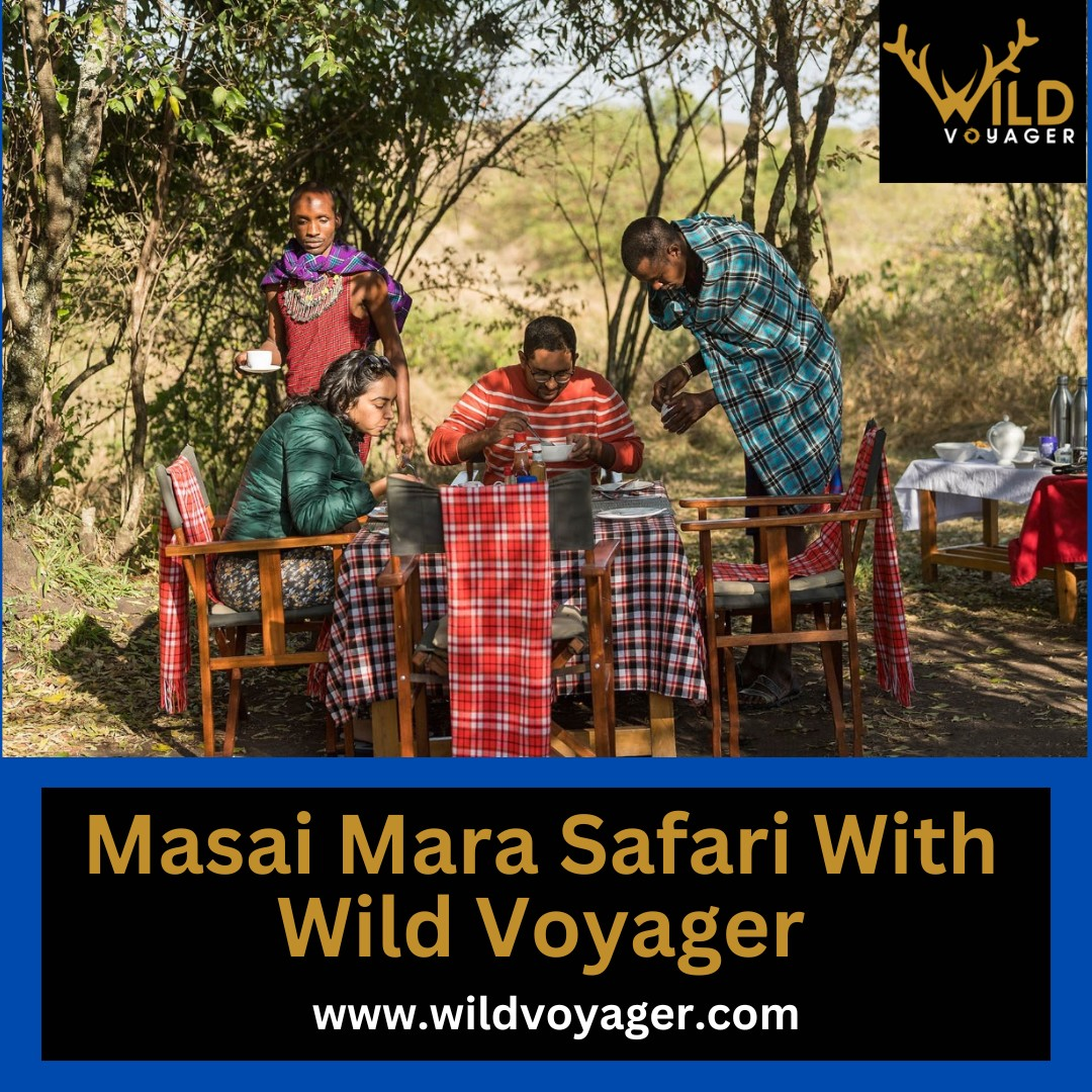 Get Masai Mara Safari WIth Wild Voyager