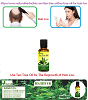 Tea Tree Oil for Hair Loss - Natural Essential Oils - Natural Herbs Clinic