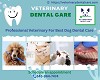 Professional Veterinary For Best Dog Dental Care