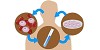 Korea's Best Steam Cell Therapy 