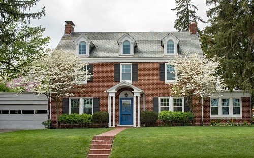 Image1