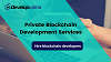 Private blockchain development company