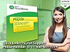 QuickBooks Payroll Support Phone Number @ +1-800-681-1729