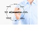 eCommerce Development - Openwave Computing