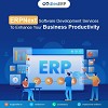 ERPNext software Development Service 