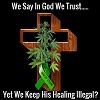 We Say In God We Trust, but do we?