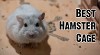 The Best Hamster Cages | Pet & Baby Gates