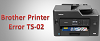 Fix Brother Printer Error TS-02-Printer Fixes