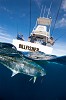 Fishing Charters Airlie Beach