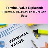 Terminal Value Explained: Formula, Calculation & Growth Rate