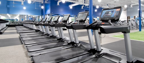 Vim + Vigor Fitness