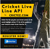 Live Cricket Score and Statistics API For Website, App