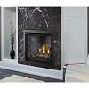 Napoleon Gas Fireplace