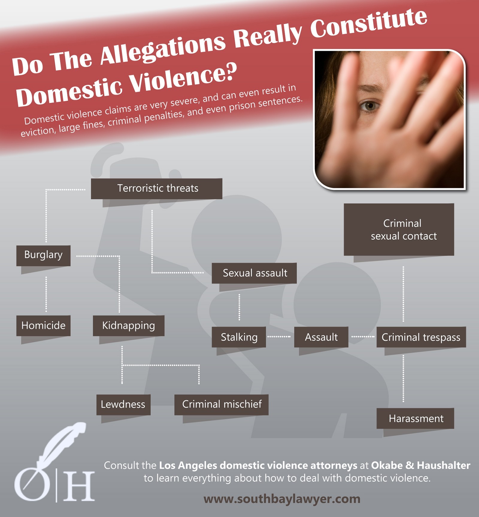 Do The Allegations Really Constitute Domestic Violence?