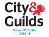 UK City and Guilds & NVQ certified 