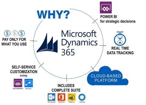 Microsoft Dynamics 365 Pricing and Plan