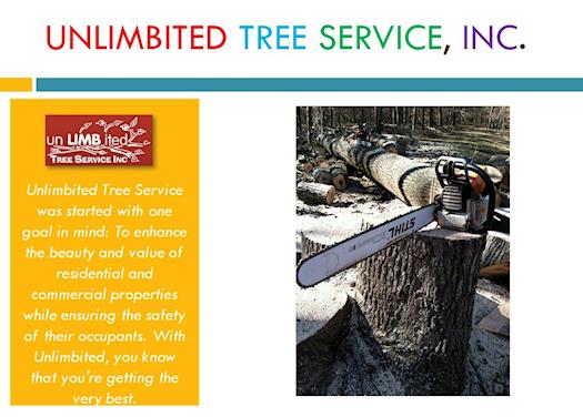 Best Tree Trimming Columbia, Tree Removal Columbia, Tree Pruning Columbia