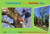 Columbia Tree Pruning, Tree Removal and Tree Trimming Services