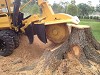 Houston Demolition | Houston Tree & Demolition Services