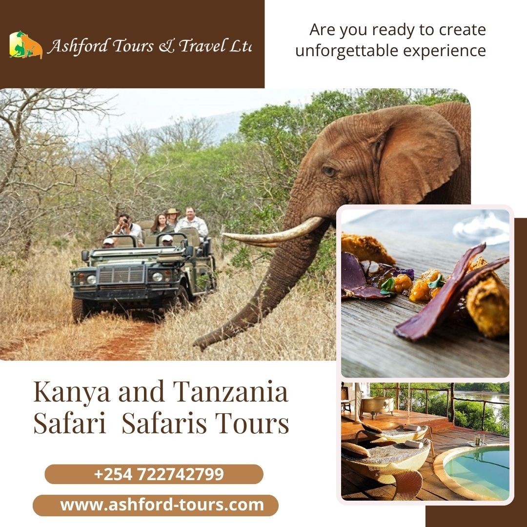 Explore the Kenya and Tanzania Safaris by Tours
