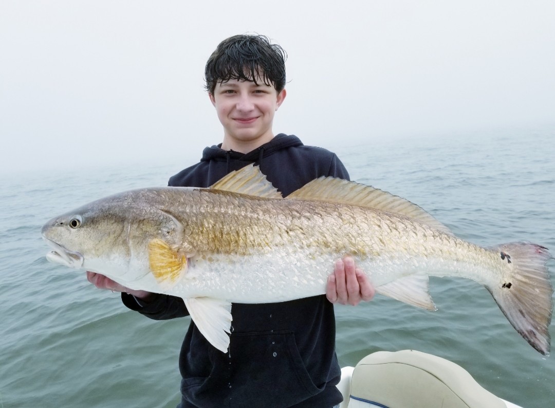 Redfish
