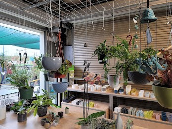 Evergreen Nursery - The Bay’s Friendly Garden Experts