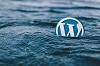 WordPress Website can boost Your Business
