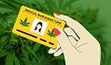 how to get a medical cannabis card