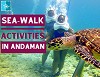 Beneath the Waves: Experiencing Sea Walk in Andaman