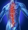 USA Vascular Centers Offers Spine Fracture Treatment in California