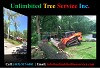 Annapolis Tree Removal, Tree Trimming Services & Tree Care