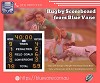 Now Rugby Scoreboard at a reasonable price - Blue Vane, Australia