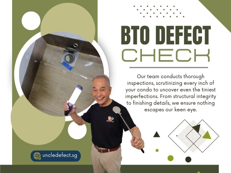 BTO Defect Check Inspector