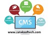 Creating the Best CMS for Your Business Goals