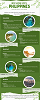 Best Nature Spots in the Philippines: Must See Sites for Your Holiday