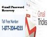 Be In Touch With Gmail Password Recovery1-877-204-4255 To Say Adieu To Hackers