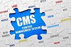 CMS for Business Websites