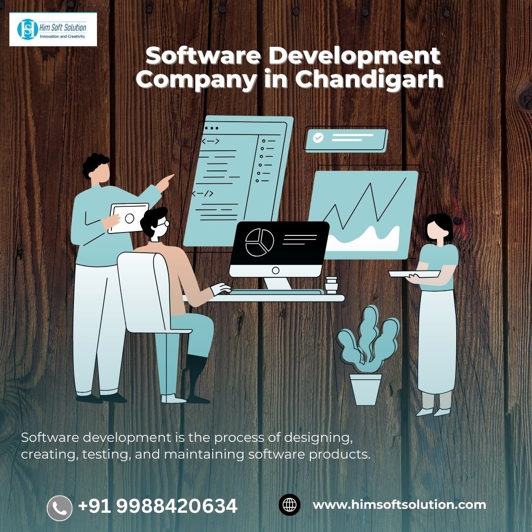 Software Development Company in Chandigarh