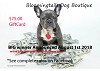 Luxury Dog Boutique || Bloomingtails Dog Boutique