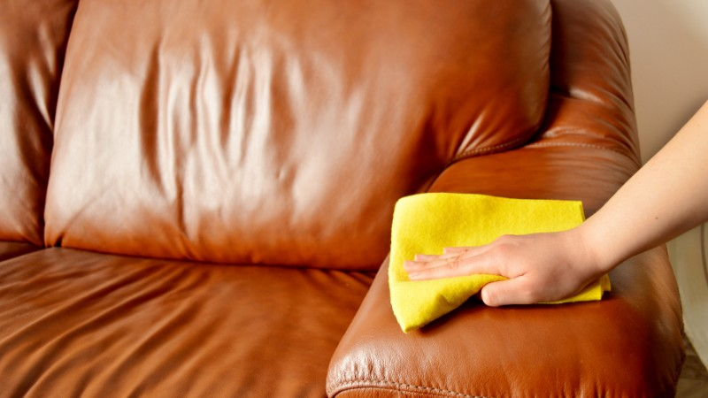 Upholstery cleaning Mississauga