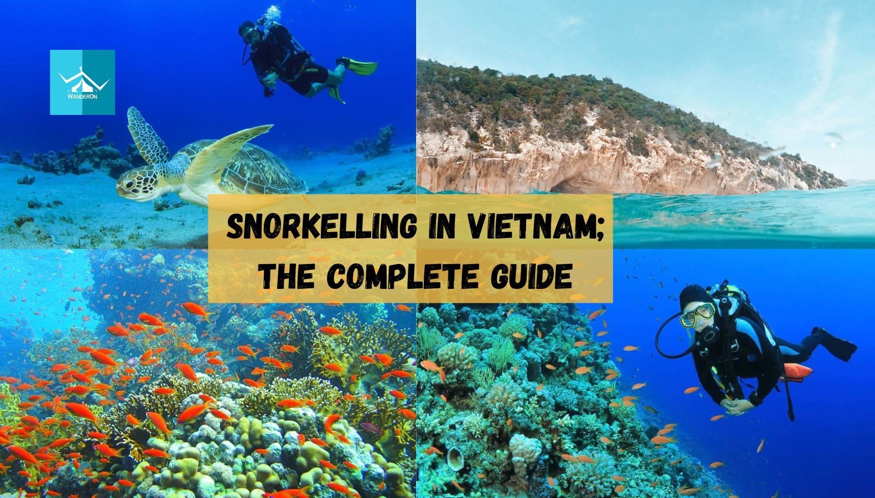 Dive into Adventure: Snorkelling in Vietnam - The Complete Guide