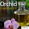 Orchid Essential Oil