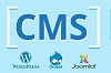 CMS & Why you need it